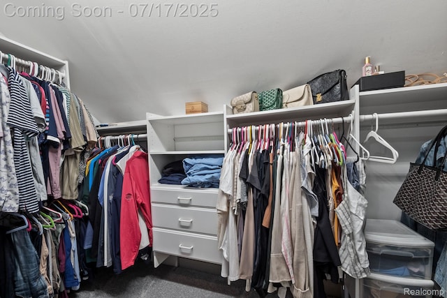 309 S Dorchester Ave, Royal Oak, MI 48067 - walk in closet featuring carpet flooring