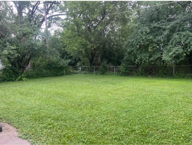 2032 Daron Pl, Flint, MI 48505 - view of yard