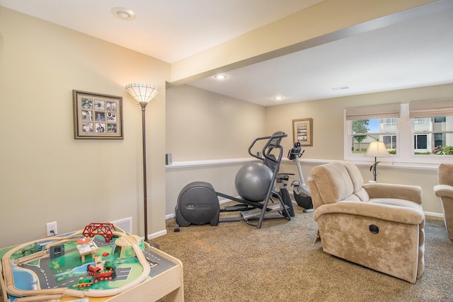 3542 Kirkaldy Cir, Portage, MI 49024 - workout room with carpet flooring and recessed lighting