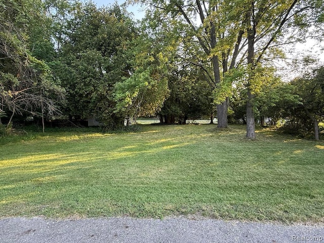 00 Point Aux Barques, Port Austin, MI 48467 - photo 5