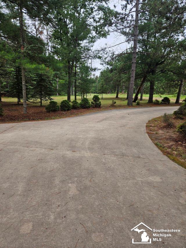 2475 S Stephan Bridge Rd, Grayling, MI 49738 - photo 4