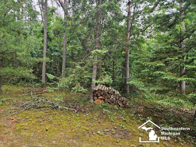 2475 S Stephan Bridge Rd, Grayling, MI 49738 - photo 18