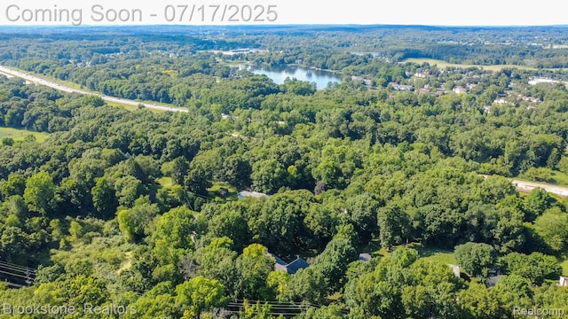 8808 Big Lake Rd, Clarkston, MI 48346 - aerial view of property's location featuring a heavily wooded area and a large body of water