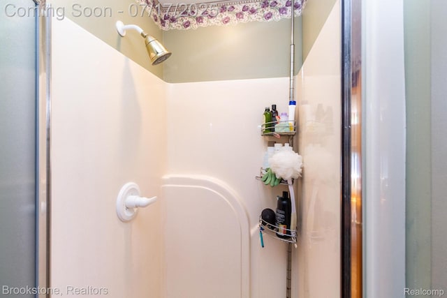 8808 Big Lake Rd, Clarkston, MI 48346 - bathroom view of a shower