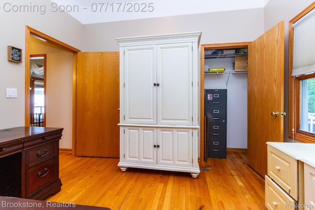 8808 Big Lake Rd, Clarkston, MI 48346 - bedroom featuring light wood finished floors and a closet
