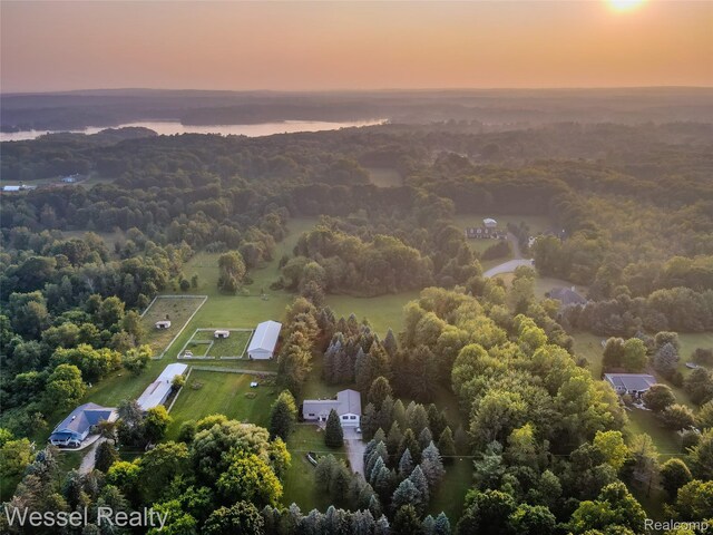 2465 Texter Rd, Leonard, MI 48367 - aerial view at dusk of a view of trees
