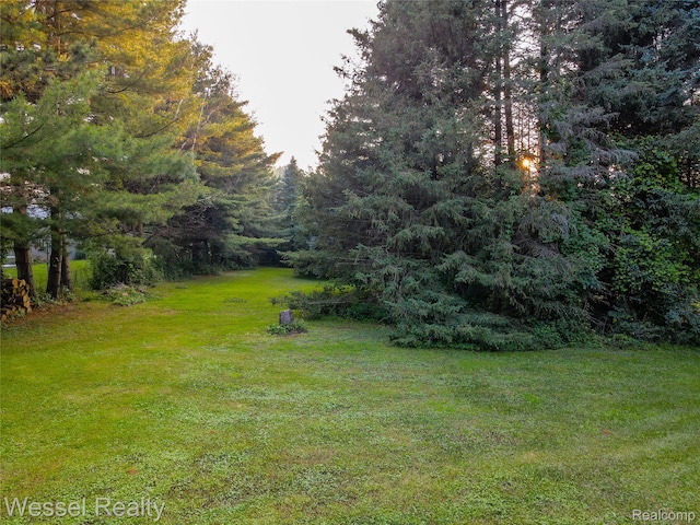 2465 Texter Rd, Leonard, MI 48367 - view of green lawn featuring a wooded view