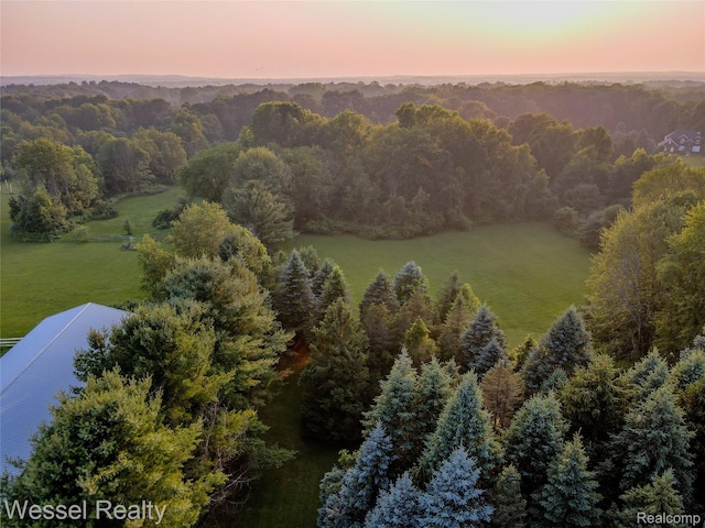 2465 Texter Rd, Leonard, MI 48367 - aerial view at dusk of a view of trees