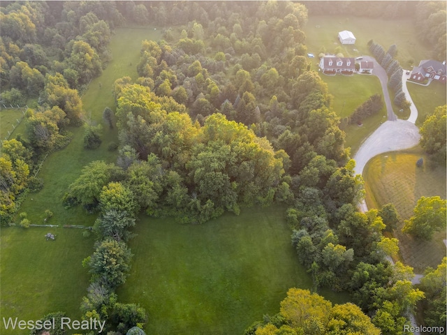 2465 Texter Rd, Leonard, MI 48367 - aerial view