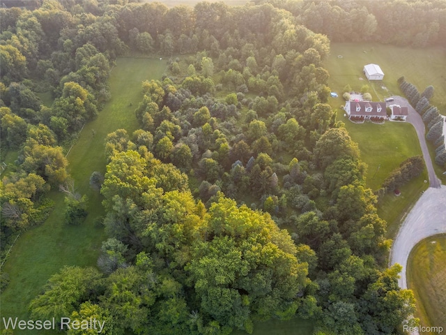 2465 Texter Rd, Leonard, MI 48367 - drone / aerial view