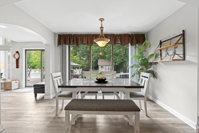 1683 Majon Dr, Highland, MI 48356 - dining space featuring arched walkways, healthy amount of natural light, and light wood finished floors