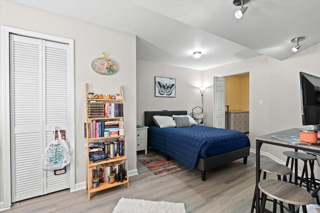 1683 Majon Dr, Highland, MI 48356 - bedroom with light wood finished floors and a closet