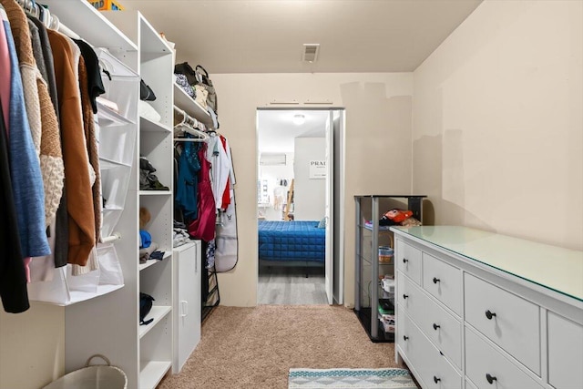 1683 Majon Dr, Highland, MI 48356 - walk in closet with light colored carpet