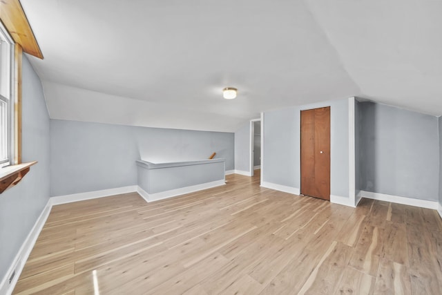 1533 E Munger Rd, Tecumseh, MI 49286 - additional living space with lofted ceiling and light wood finished floors