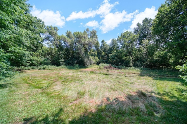 1533 E Munger Rd, Tecumseh, MI 49286 - view of local wilderness
