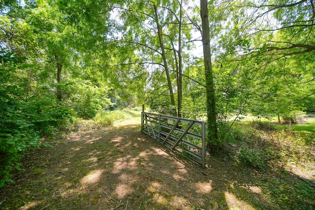 1533 E Munger Rd, Tecumseh, MI 49286 - gate with a wooded view
