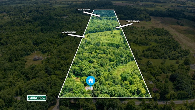 1533 E Munger Rd, Tecumseh, MI 49286 - view of property location with a heavily wooded area and property parcel outlined