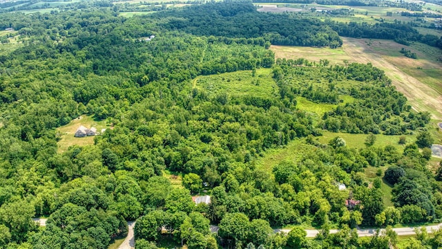 1533 E Munger Rd, Tecumseh, MI 49286 - drone / aerial view of a forest