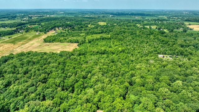 1533 E Munger Rd, Tecumseh, MI 49286 - drone / aerial view of a heavily wooded area