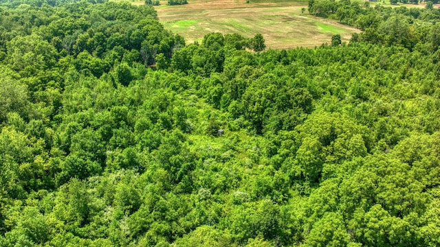 1533 E Munger Rd, Tecumseh, MI 49286 - bird's eye view
