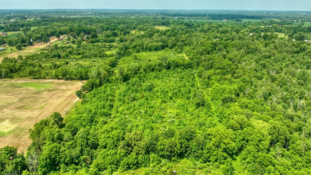 1533 E Munger Rd, Tecumseh, MI 49286 - aerial view of a forest