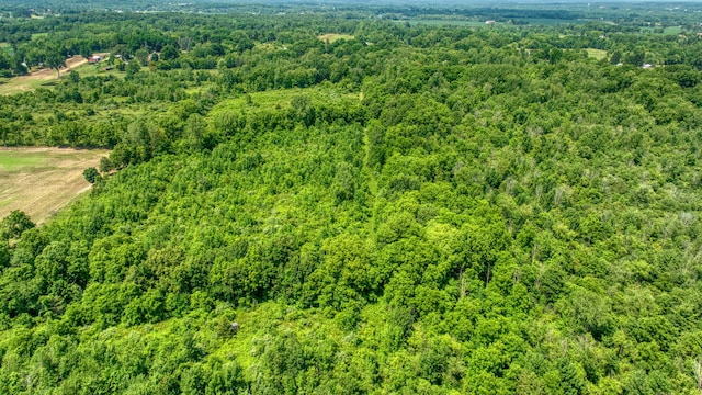 1533 E Munger Rd, Tecumseh, MI 49286 - drone / aerial view of a forest