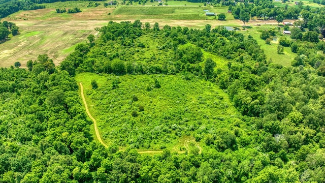 1533 E Munger Rd, Tecumseh, MI 49286 - aerial view of sparsely populated area