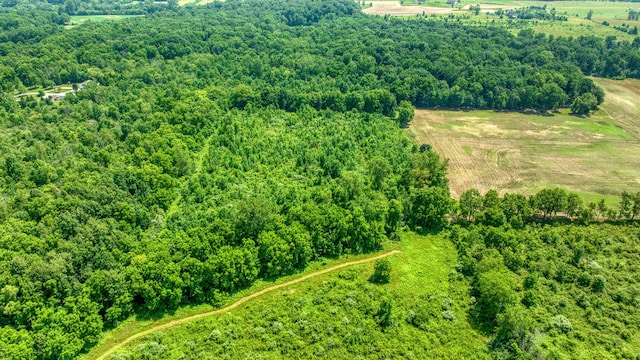 1533 E Munger Rd, Tecumseh, MI 49286 - overview of rural landscape