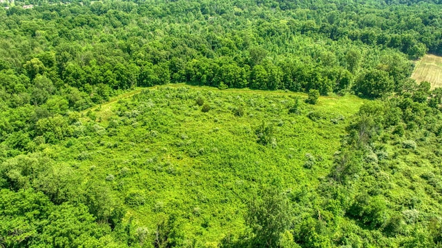 1533 E Munger Rd, Tecumseh, MI 49286 - drone / aerial view of a forest