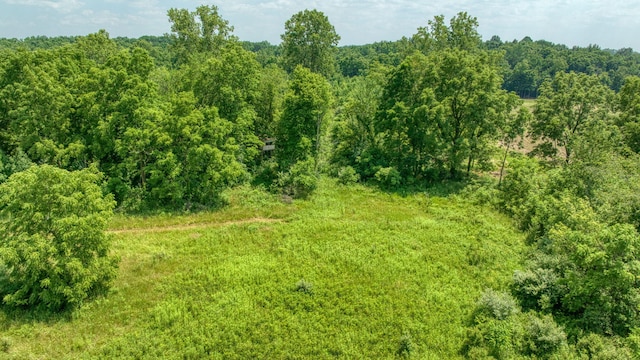 1533 E Munger Rd, Tecumseh, MI 49286 - view of local wilderness