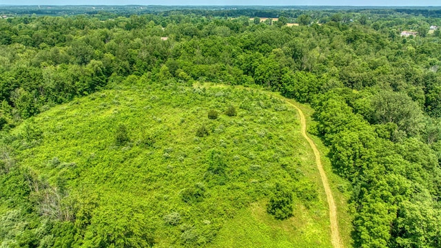 1533 E Munger Rd, Tecumseh, MI 49286 - drone / aerial view of a forest