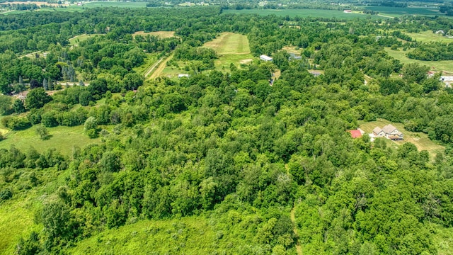 1533 E Munger Rd, Tecumseh, MI 49286 - aerial overview of property's location featuring a forest