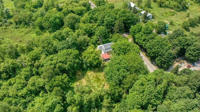 1533 E Munger Rd, Tecumseh, MI 49286 - aerial view of property's location