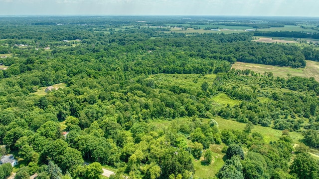 1533 E Munger Rd, Tecumseh, MI 49286 - drone / aerial view of a forest