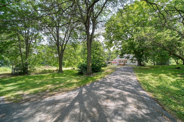 1533 E Munger Rd, Tecumseh, MI 49286 - view of front of home with a front yard and driveway