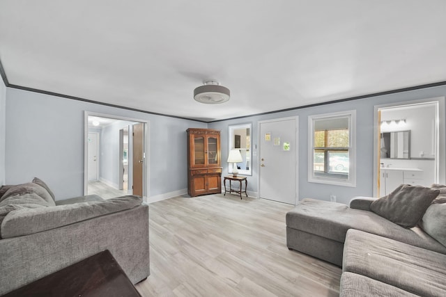 1533 E Munger Rd, Tecumseh, MI 49286 - living room with light wood-type flooring and crown molding