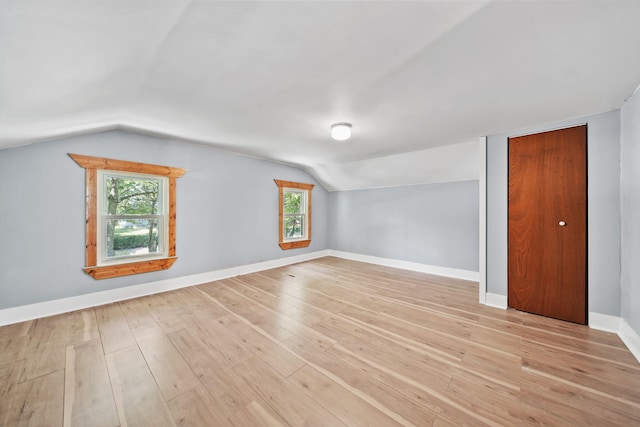 1533 E Munger Rd, Tecumseh, MI 49286 - additional living space with lofted ceiling, healthy amount of natural light, and light wood-type flooring