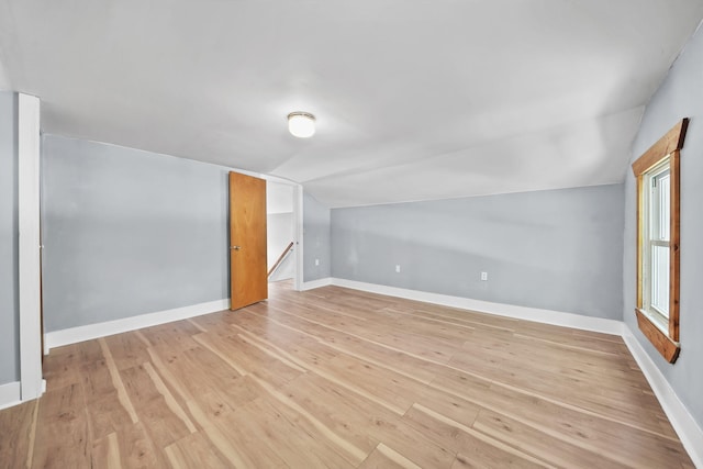 1533 E Munger Rd, Tecumseh, MI 49286 - bonus room featuring vaulted ceiling and light wood-style flooring