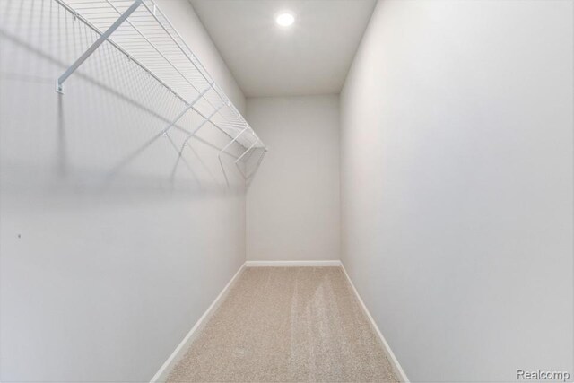 8377 Majestic Blvd, Fowlerville, MI 48836 - walk in closet with carpet floors