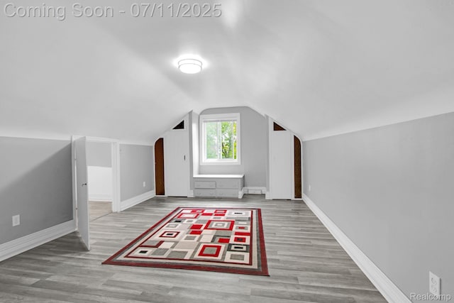 24370 Eureka Ave, Warren, MI 48091 - additional living space featuring wood finished floors and lofted ceiling