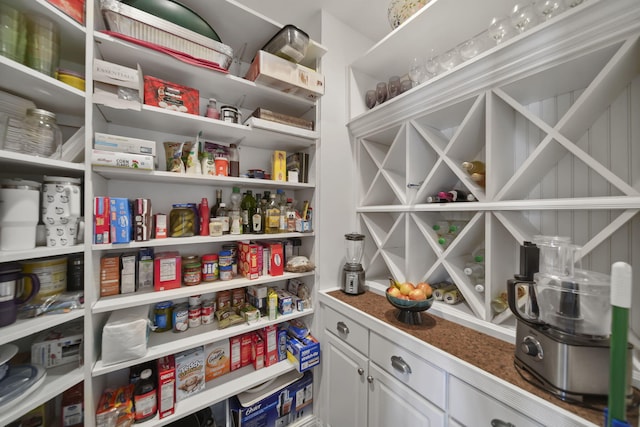 8321 Odowling Dr, Onsted, MI 49265 - view of pantry