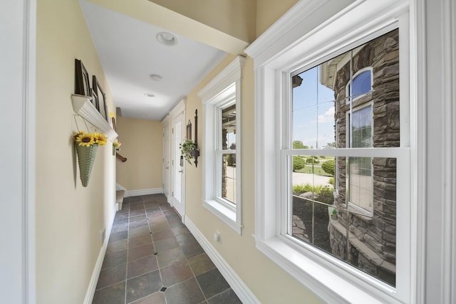 8321 Odowling Dr, Onsted, MI 49265 - hallway with plenty of natural light