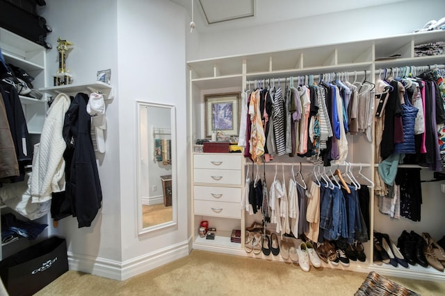8321 Odowling Dr, Onsted, MI 49265 - spacious closet featuring carpet floors and attic access