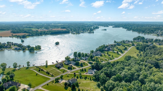 8321 Odowling Dr, Onsted, MI 49265 - drone / aerial view of a nearby body of water