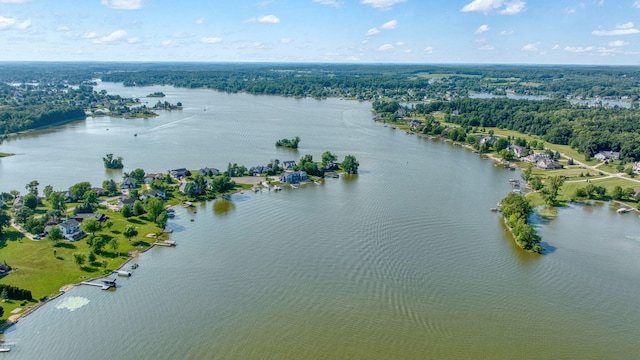 8321 Odowling Dr, Onsted, MI 49265 - bird's eye view of a nearby body of water