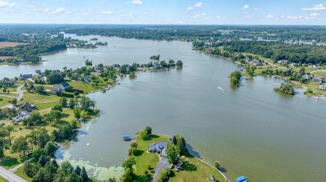 8321 Odowling Dr, Onsted, MI 49265 - aerial view of a nearby body of water