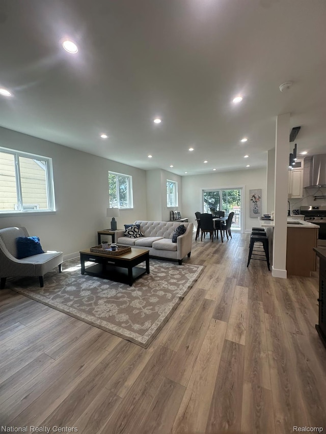 1666 Albany St, Ferndale, MI 48220 - living room featuring wood finished floors and recessed lighting