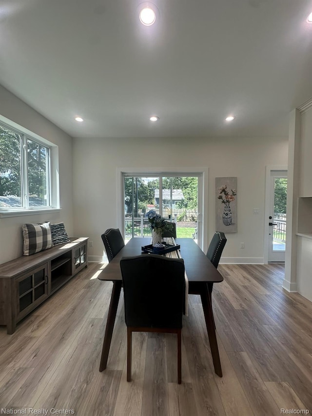 1666 Albany St, Ferndale, MI 48220 - dining area with light wood-type flooring, plenty of natural light, and recessed lighting