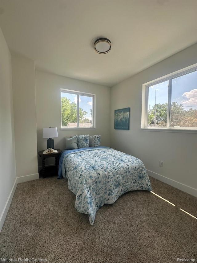 1666 Albany St, Ferndale, MI 48220 - bedroom featuring multiple windows and carpet floors