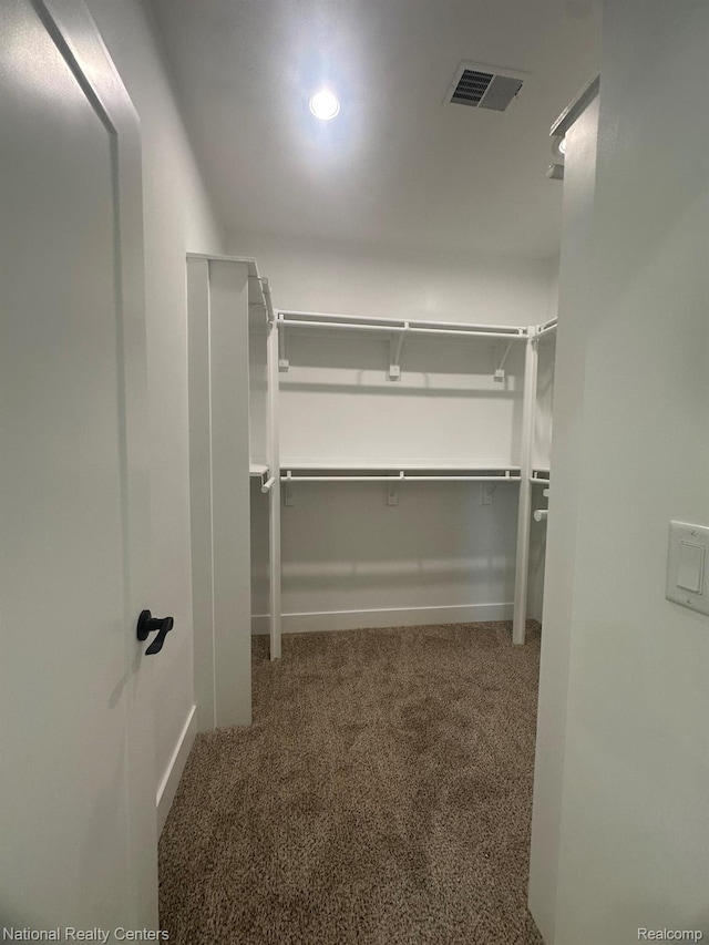 1666 Albany St, Ferndale, MI 48220 - spacious closet with carpet
